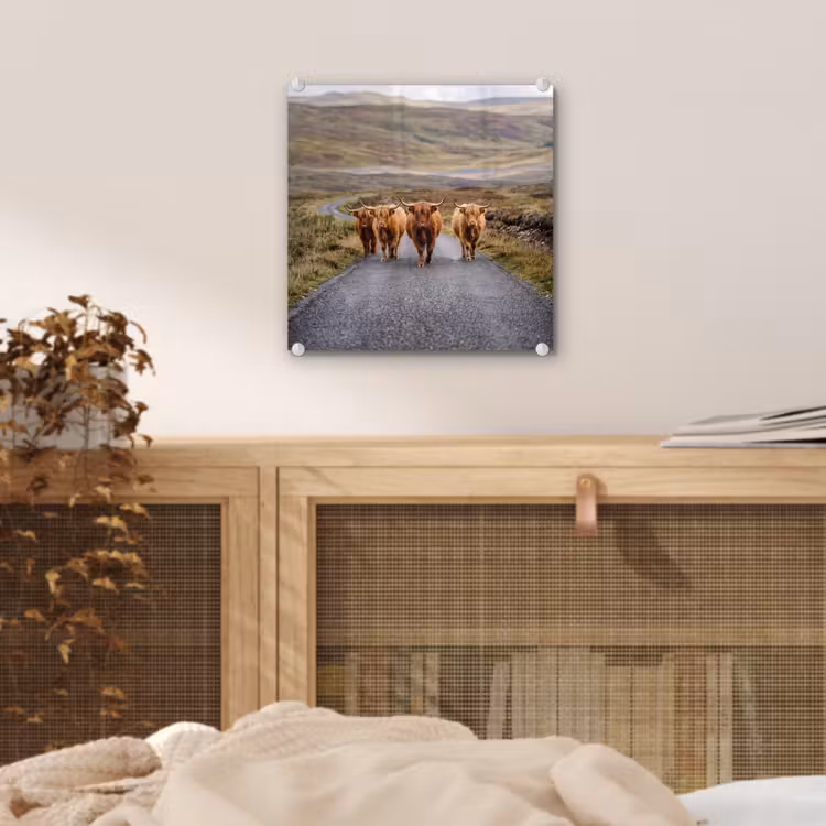 Schotse Hooglanders - Weg - Landschap - Kudde plexiglas 5mm klein -sfeer4