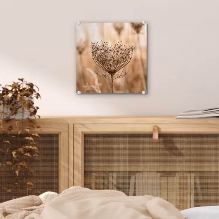 Schermbloem - Droogbloem - Winter - Beige - Minimalistisch plexiglas 5mm klein -sfeer4