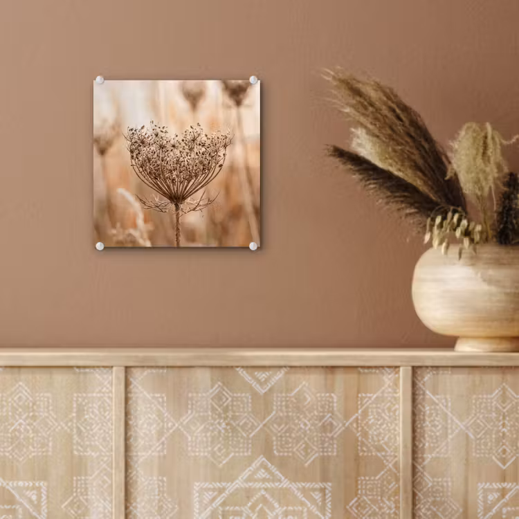 Schermbloem - Droogbloem - Winter - Beige - Minimalistisch plexiglas 5mm klein -sfeer5