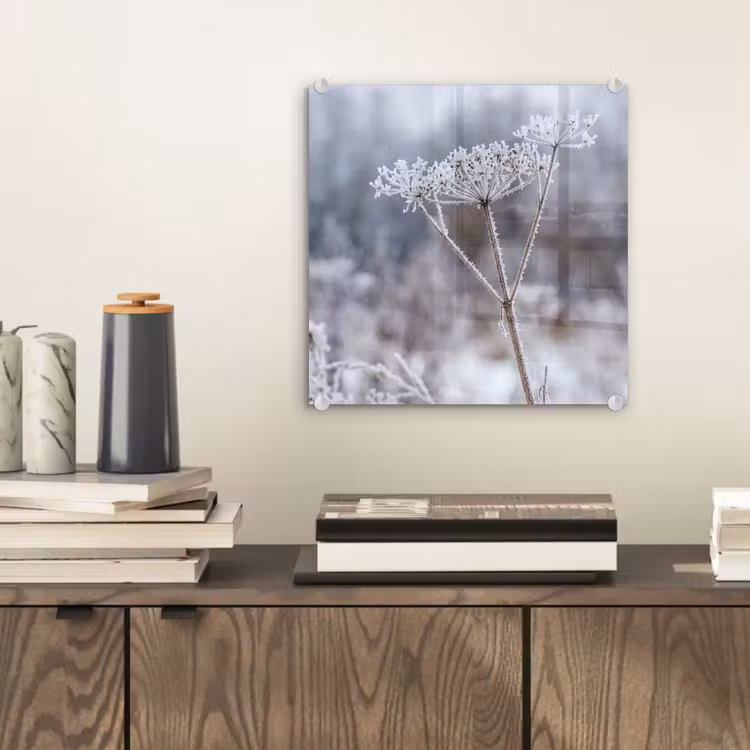 Schermbloem - Rijp - Kristallen - Winter - Delicaat plexiglas 5mm klein -sfeer1