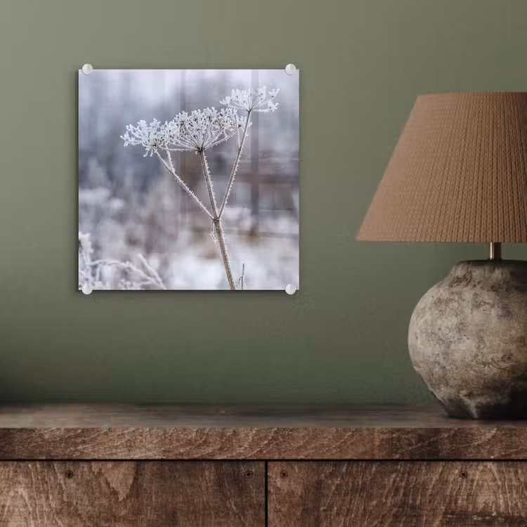 Schermbloem - Rijp - Kristallen - Winter - Delicaat plexiglas 5mm klein -sfeer3