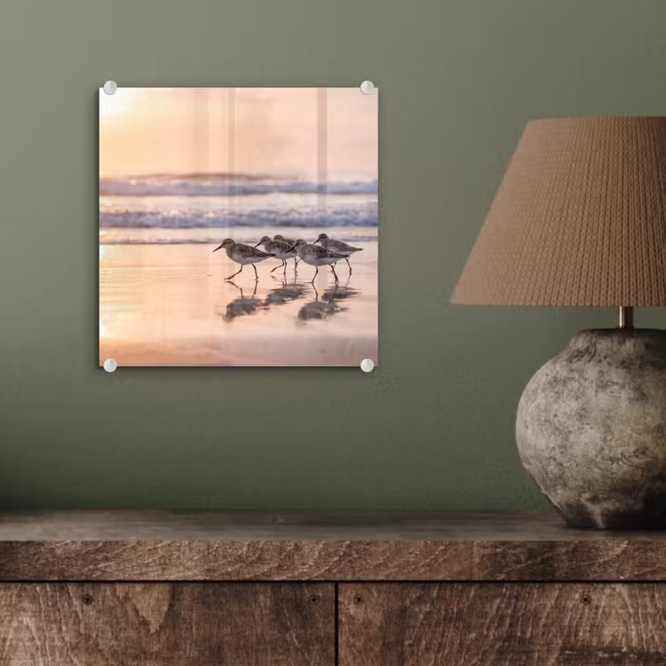 Zee - Vogels - Strand plexiglas 5mm klein -sfeer3