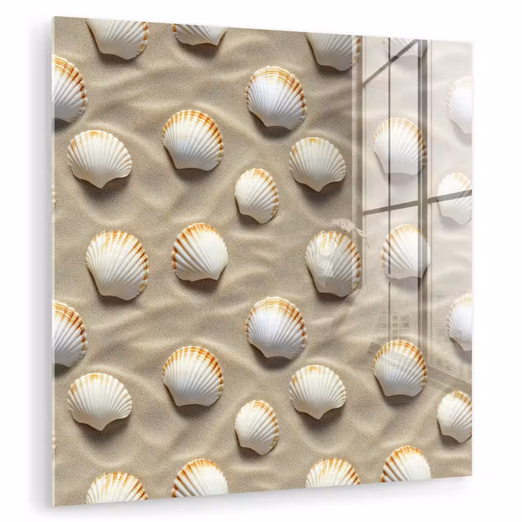 Schelpen - Zand - Maritiem plexiglas 5mm klein 11 -zzzproduct_nieuw