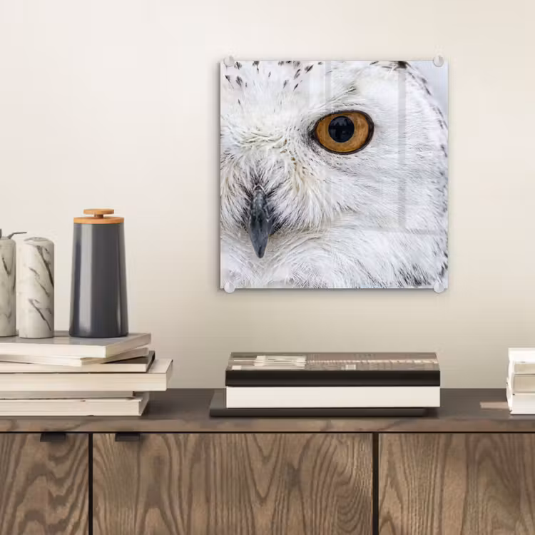 Sneeuwuil - Oog - Wildlife - Wit plexiglas 5mm klein -sfeer1