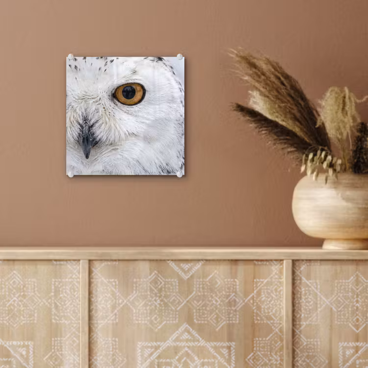 Sneeuwuil - Oog - Wildlife - Wit plexiglas 5mm klein -sfeer5