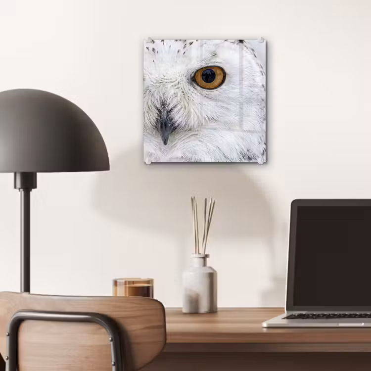 Sneeuwuil - Oog - Wildlife - Wit plexiglas 5mm klein -sfeer6