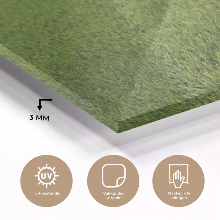 Voetbal - Grasveld - Sport - Groen plexiglas 5mm klein -sfeer2