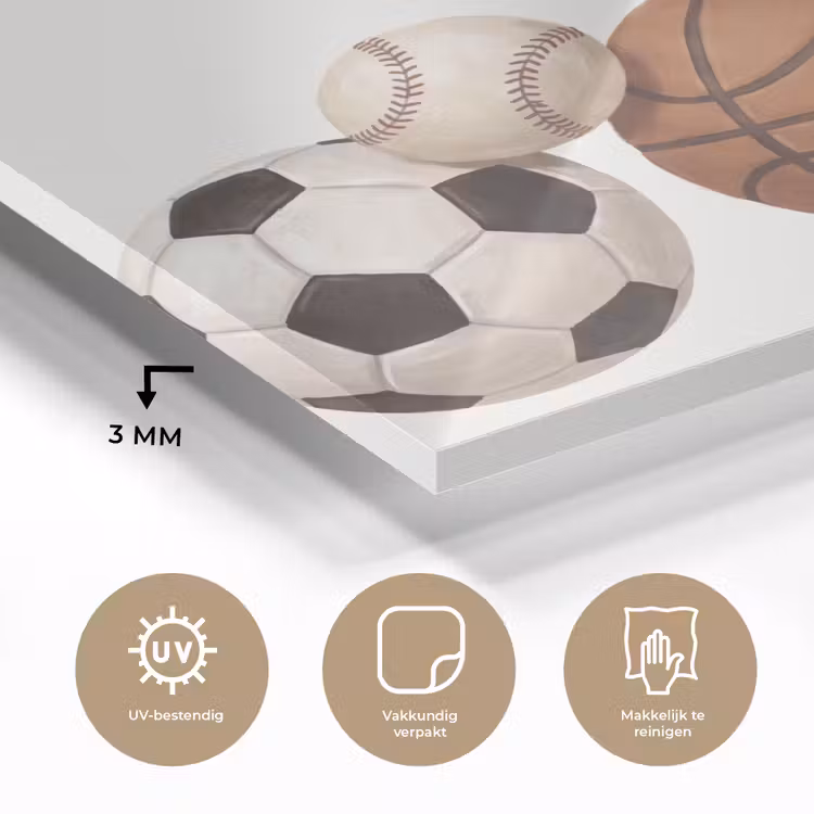 Sport - Ballen - Illustratie plexiglas 5mm klein -sfeer2