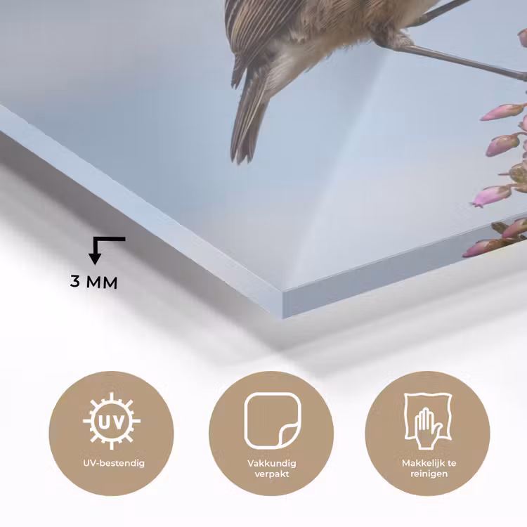 Roodborsttapuit - Heide - Paars - Natuur - Sfeervol plexiglas 5mm klein -sfeer2