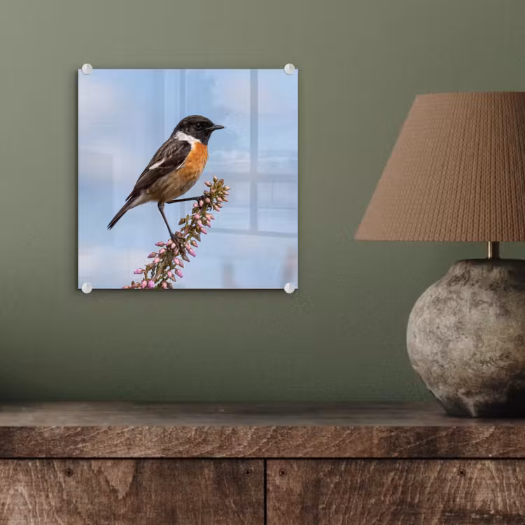 Roodborsttapuit - Heide - Paars - Natuur - Sfeervol plexiglas 5mm klein -sfeer3