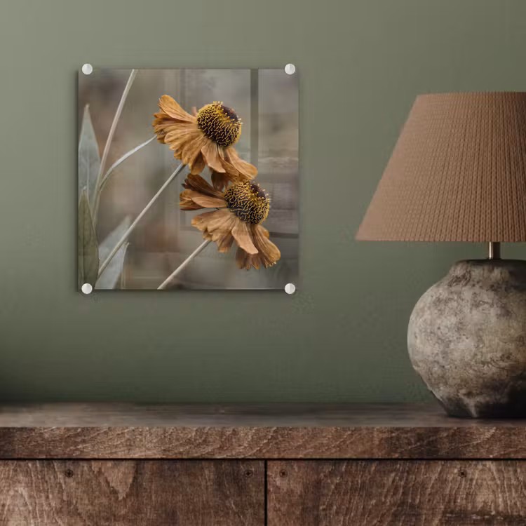 Zonnehoed - Droogbloemen - Geel - Warm plexiglas 5mm klein -sfeer3