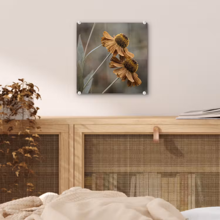 Zonnehoed - Droogbloemen - Geel - Warm plexiglas 5mm klein -sfeer4
