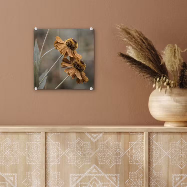 Zonnehoed - Droogbloemen - Geel - Warm plexiglas 5mm klein -sfeer5