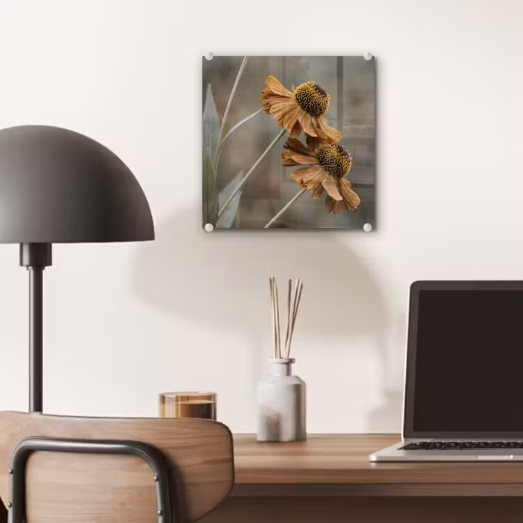 Zonnehoed - Droogbloemen - Geel - Warm plexiglas 5mm klein -sfeer6
