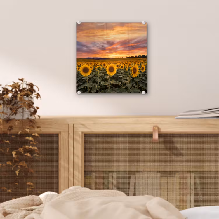 Zonnebloemen - Heuvellandschap - Geel plexiglas 5mm klein -sfeer4
