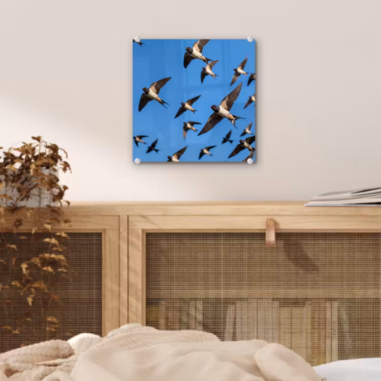 Zwaluwen - Vliegen - Blauw plexiglas 5mm klein -sfeer4