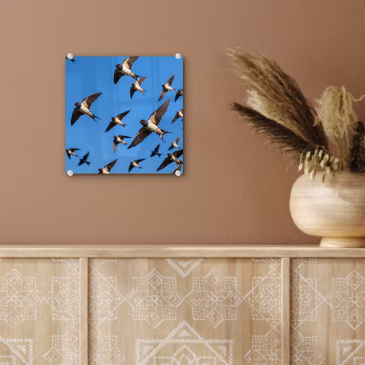 Zwaluwen - Vliegen - Blauw plexiglas 5mm klein -sfeer5