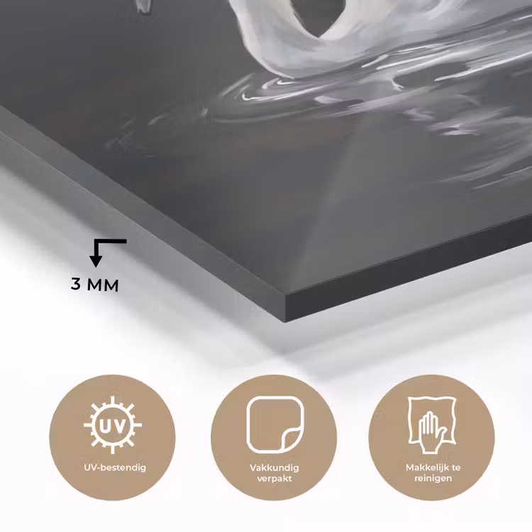 Zwaan - Water - Natuur - Realistisch - Wit plexiglas 5mm klein -sfeer2