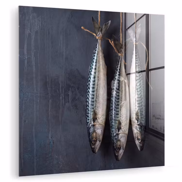 Glass Print - Three Fish - Rope - Drie vissen - Touw plexiglas 5mm klein