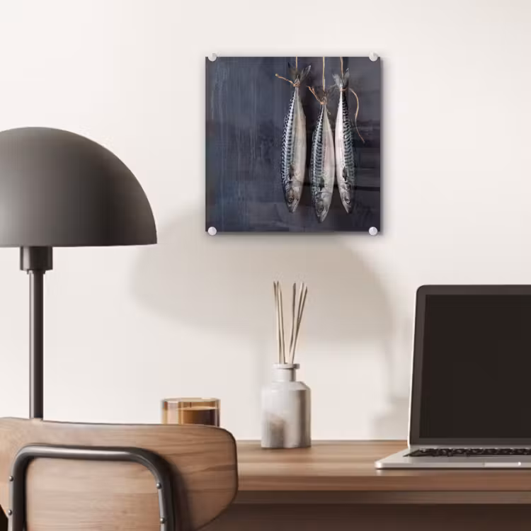 Glass Print - Three Fish - Rope - Drie vissen - Touw plexiglas 5mm klein