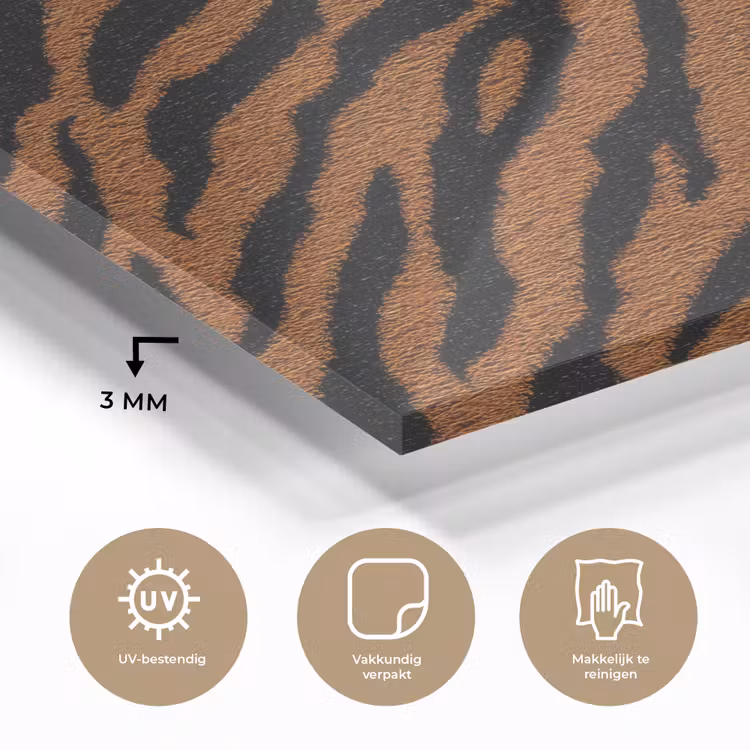 Tijger - Zwart - Vacht plexiglas 5mm klein 11 -sfeer2