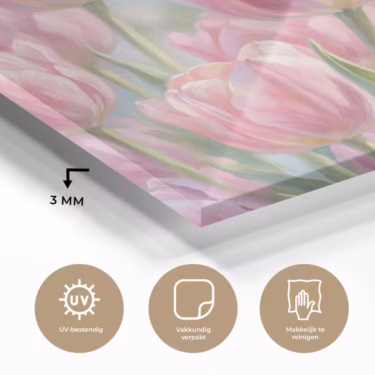Tulpen - Veld - Lente - Roze plexiglas 5mm klein -sfeer2
