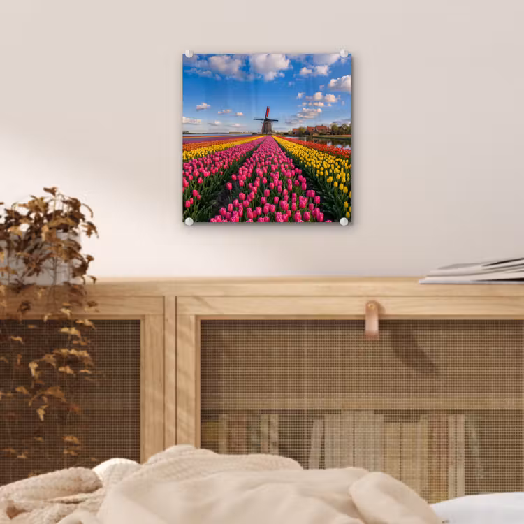 Tulpen - Holland - Molen - Kleurrijk plexiglas 5mm klein -sfeer4