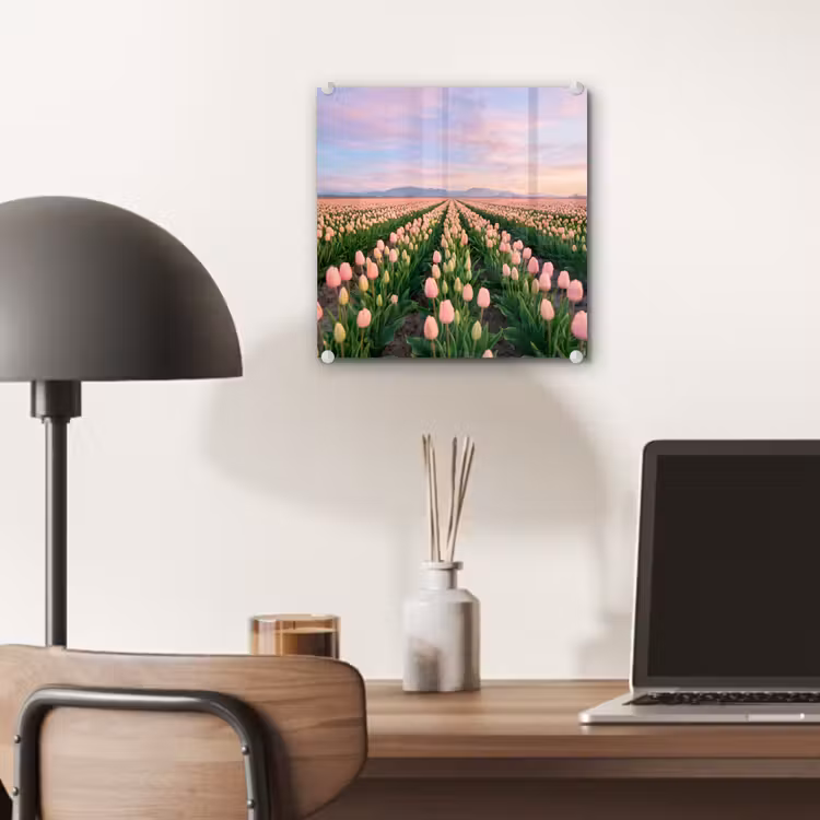 Tulpen - Landschap - Roze plexiglas 5mm klein -sfeer6