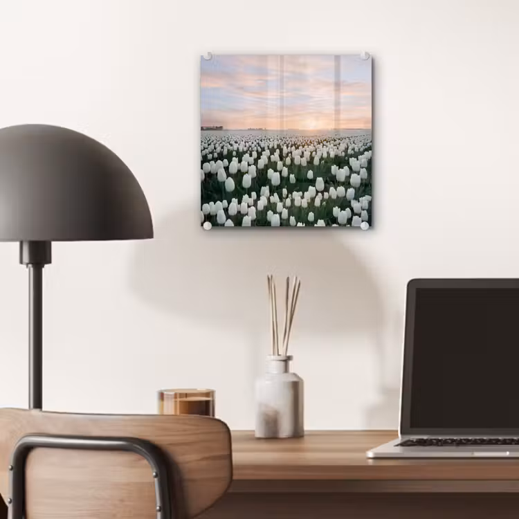 Tulpen - Landschap - Wit plexiglas 5mm klein -sfeer6