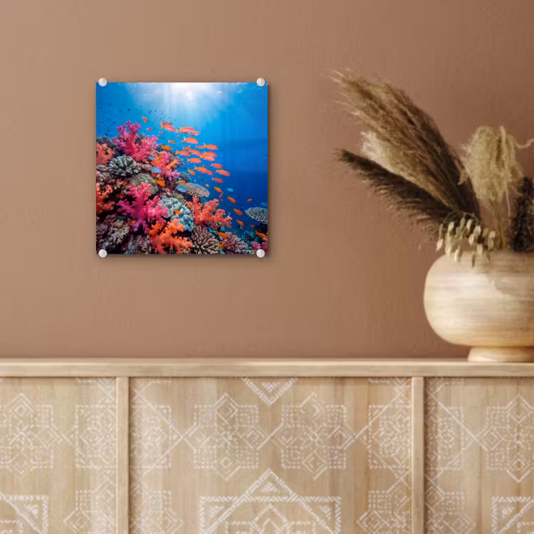 Onderwater - Koraalrif - Vissen - Oceaan - Natuur plexiglas 5mm klein -sfeer5