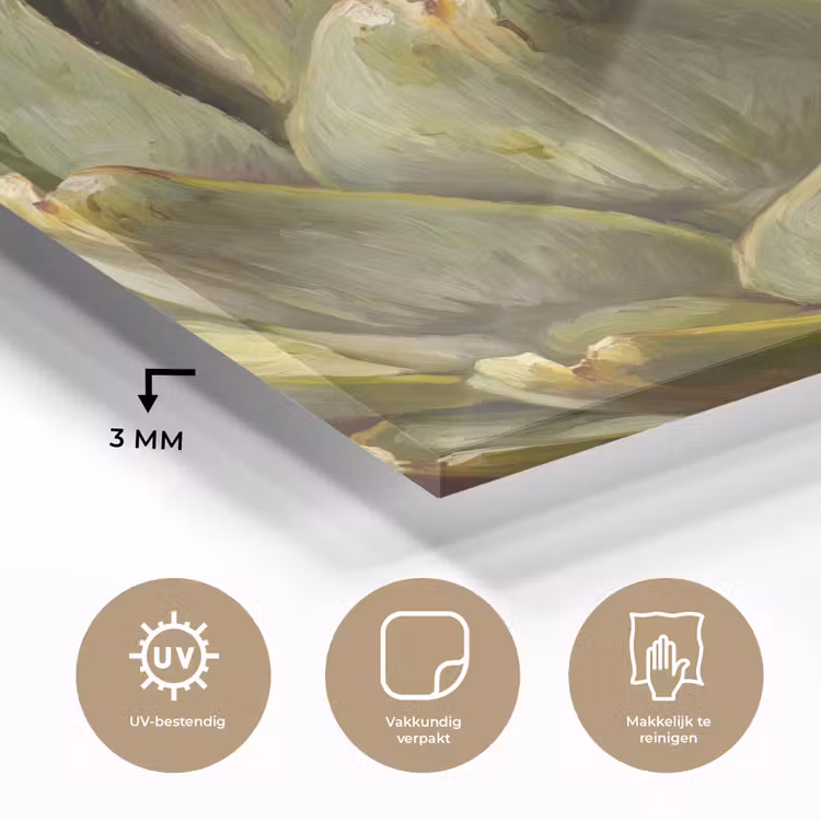 Glass Print - Vegetable - Artichoke - Green - Groente - Artisjok - Groen plexiglas 5mm klein