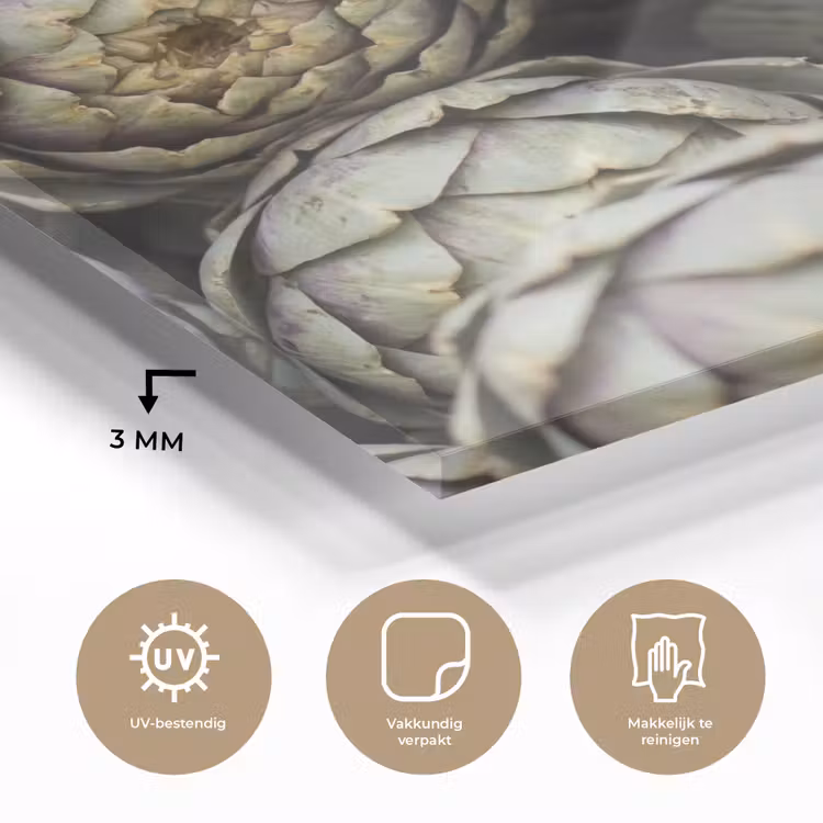 Glass Print - Vegetables - Fresh - Food - Groenten - Vers - Eten plexiglas 5mm klein