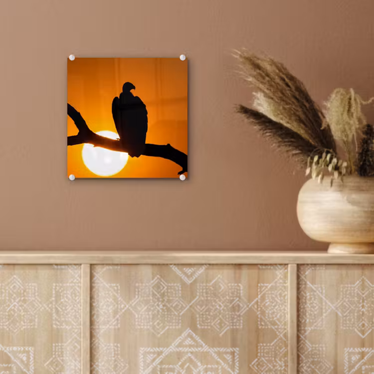 Gier - Tak - Zon - Oranje plexiglas 5mm klein -sfeer5