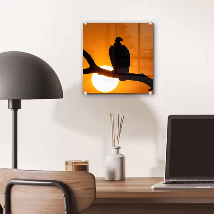 Gier - Tak - Zon - Oranje plexiglas 5mm klein -sfeer6