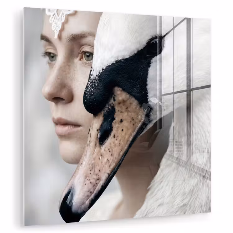 Vrouw - Zwaan - Wit plexiglas 5mm klein -zzzproduct_nieuw