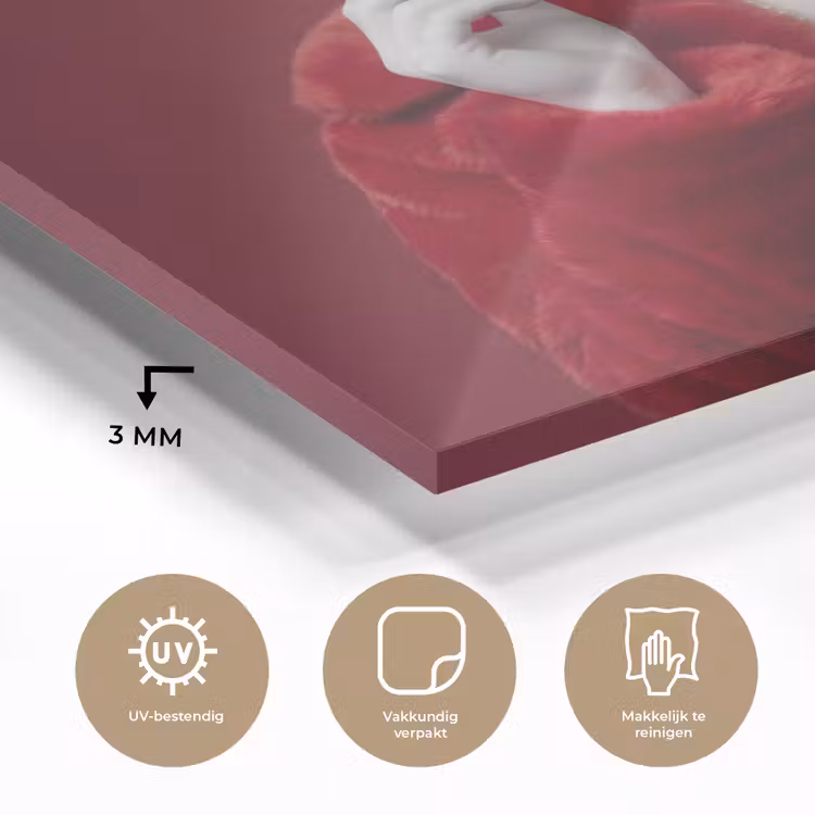 Vrouw - Bontjas - Mode - Klassiek - Rood plexiglas 5mm klein -sfeer2