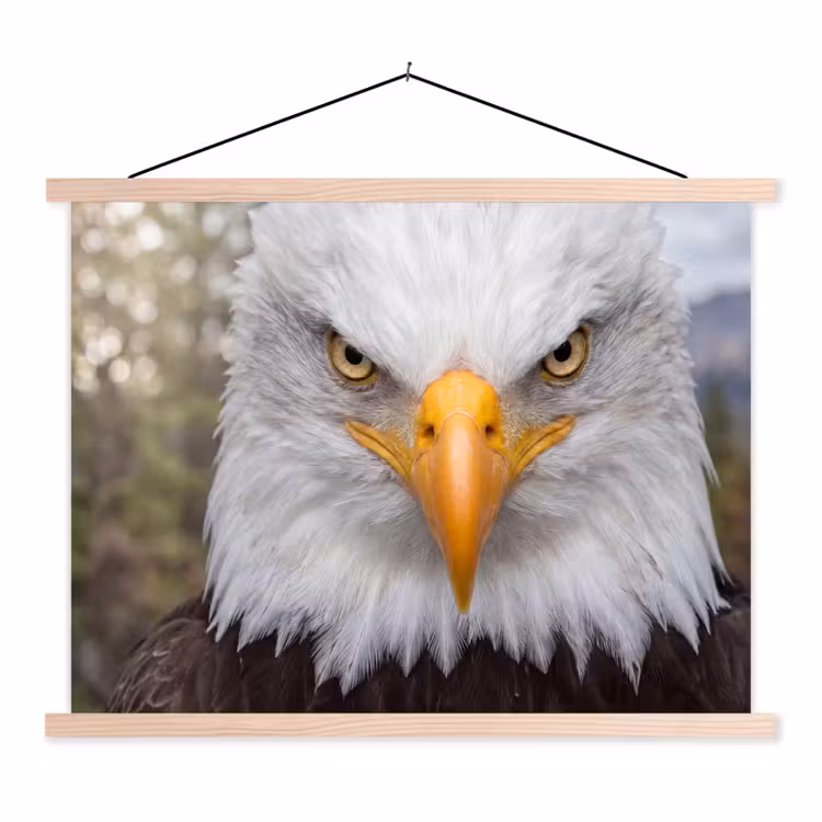 Amerikaans - Zeearend - Portret - Geel textielposter latten blank klein -3d