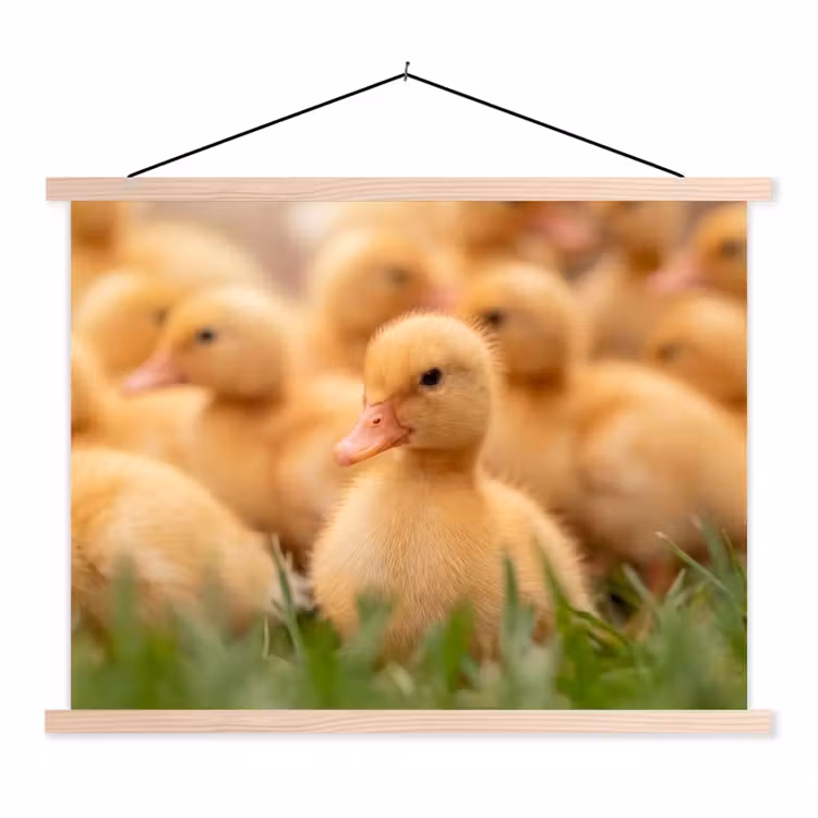 Pijltje - Eend - Natuur - Geel textielposter latten blank klein -3d