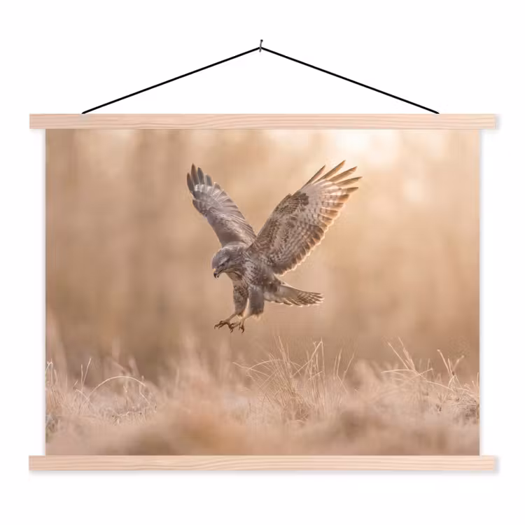 Buizerd - Roofvogel - Natuur - Bruin textielposter latten blank klein -3d
