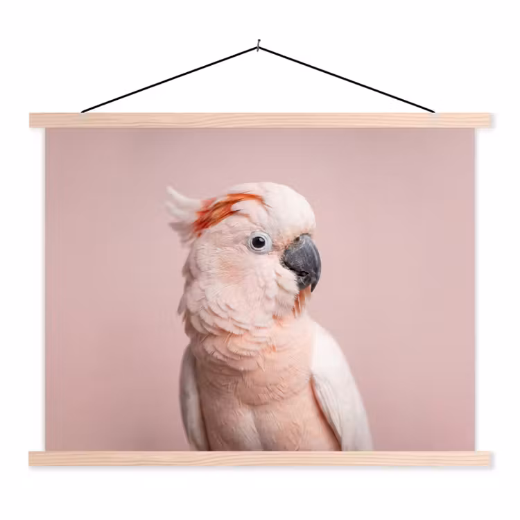 Kaketoe - Portret - Roze textielposter latten blank klein -3d