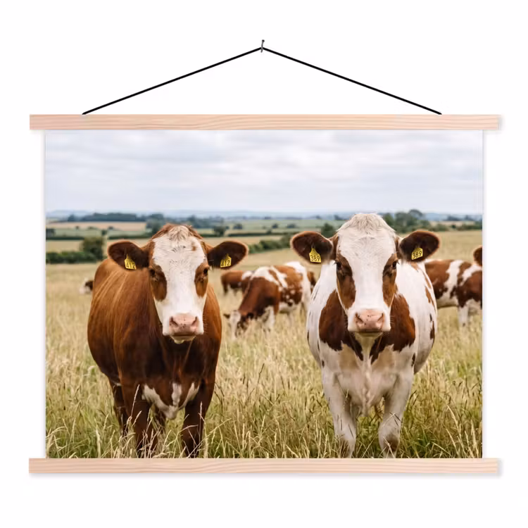 Koeien - Portret - Weide - Boerderij - Nieuwsgierig textielposter latten blank klein -3d