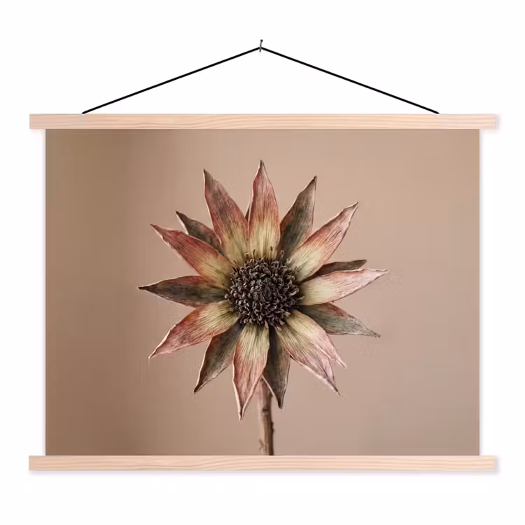 Droogbloem - Protea - Vintage - Beige - Rustiek textielposter latten blank klein -3d