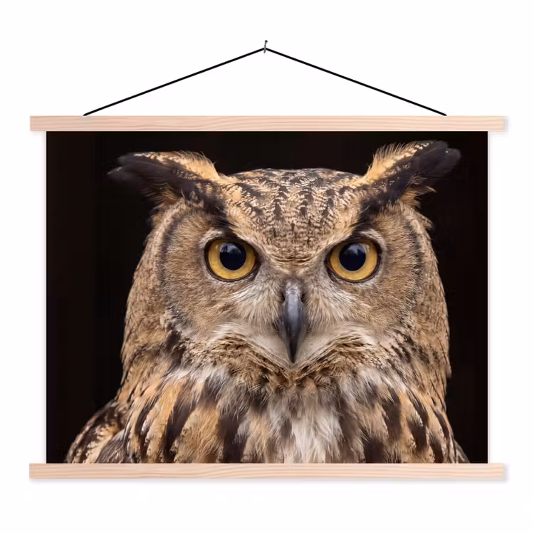 Oehoe - Uil - Portret - Bruin textielposter latten blank klein -3d