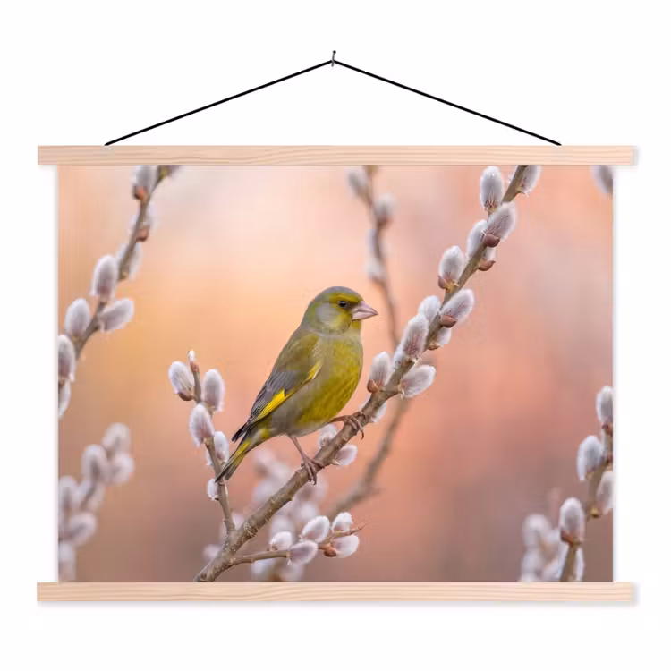 Groenling - Katjes - Lente - Natuur - Zacht textielposter latten blank klein -3d