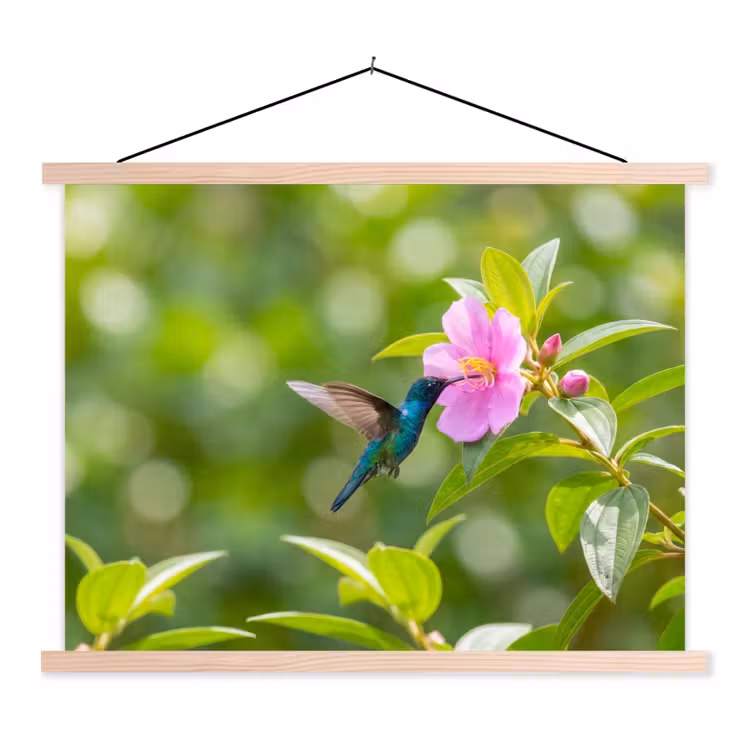 Kolibrie - Bloem - Natuur - Groen textielposter latten blank klein -3d