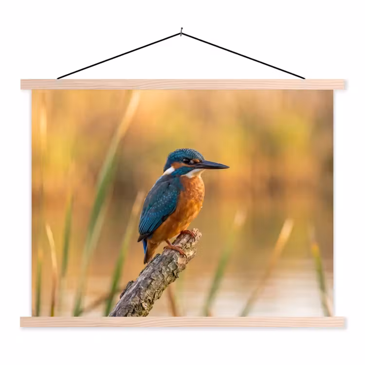 IJsvogel - Tak - Water - Kleurrijk - Levendig textielposter latten blank klein -3d