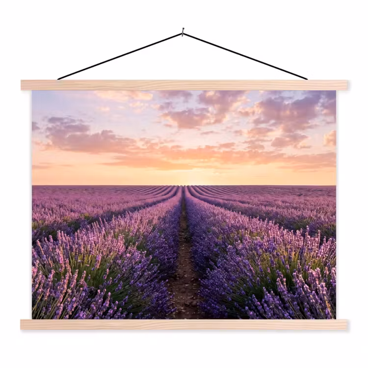 Landschap - Lavendelveld - Paars textielposter latten blank klein -3d