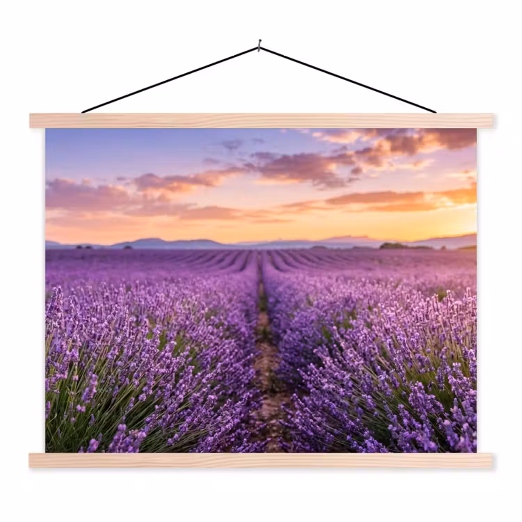 Lavendel - Veld - Natuur - Paars textielposter latten blank klein -3d