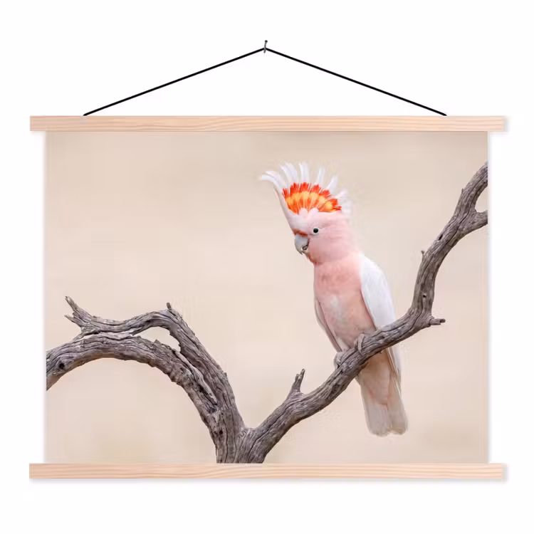 Papagaai - Tak - Roze textielposter latten blank klein -3d