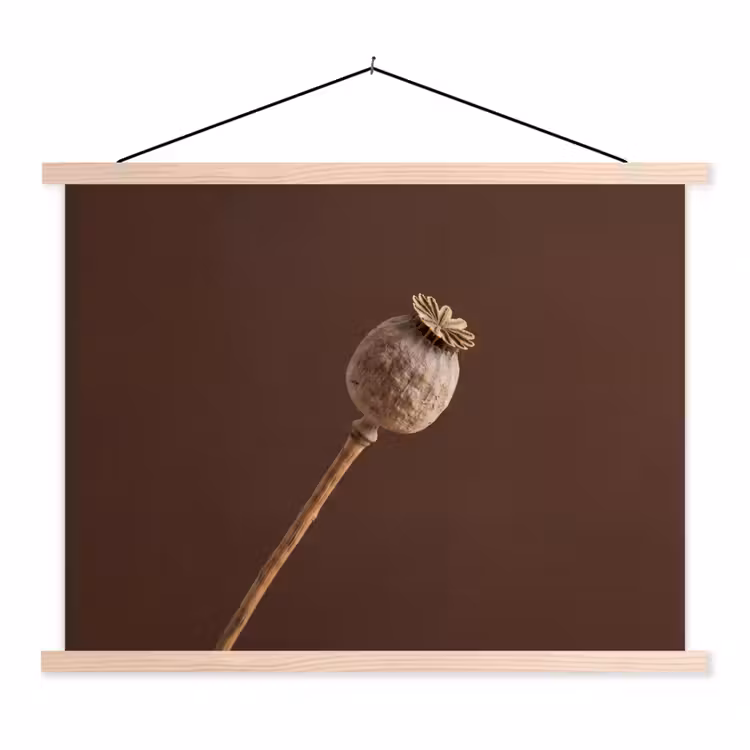 Papaverbol - Droogbloem - Bruin - Minimalistisch textielposter latten blank klein -3d